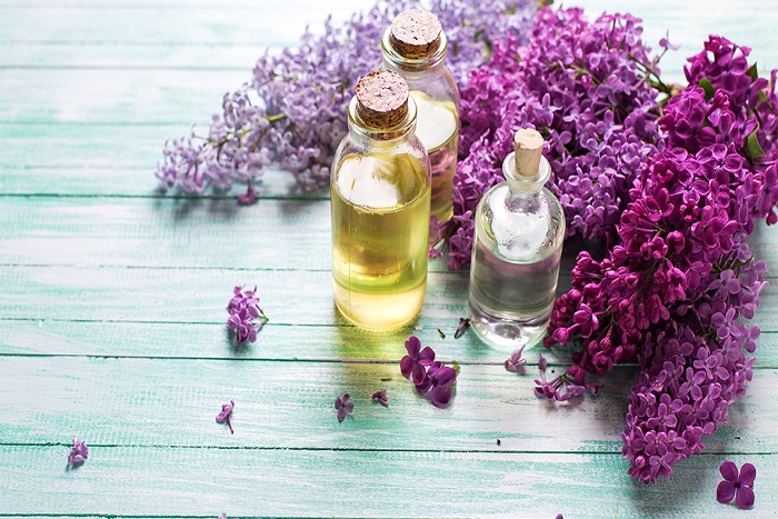 Leylak Yağı Nedir? Nasıl Kullanılır? Faydaları ve Yan Etkileri Nelerdir?