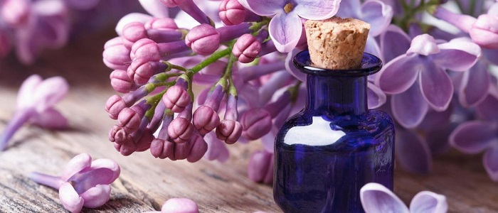 Leylak Yağının Faydaları Nelerdir?