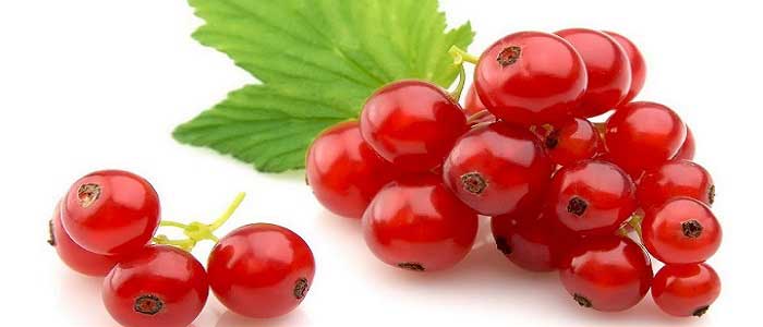 Frenk Üzümü Nedir?