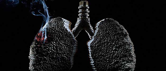 Nikotinin Zararları Nelerdir?