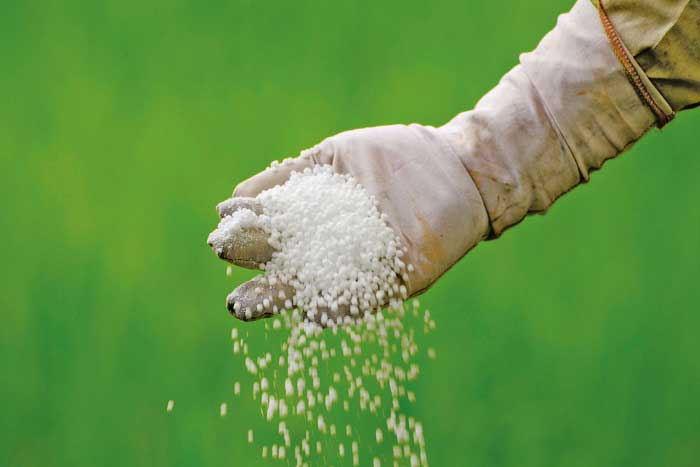 Güherçile (Potasyum Nitrat) Nedir? Özellikleri ve Kullanım Alanları Nelerdir?