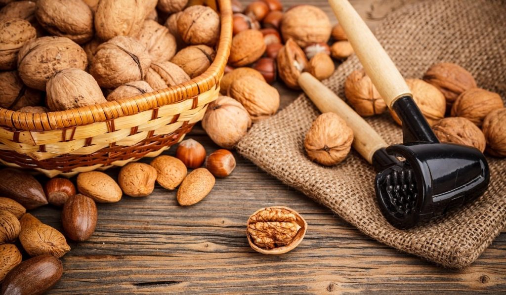 Ceviz Nedir? Çeşitleri, Özellikleri ve Faydaları Nelerdir?