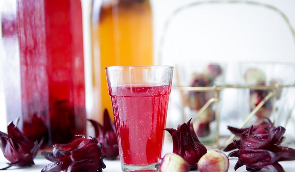 Hibiskus (Kerkede) Çayı Nedir? Nasıl Kullanılır? Faydaları ve Yan Etkileri Nelerdir?