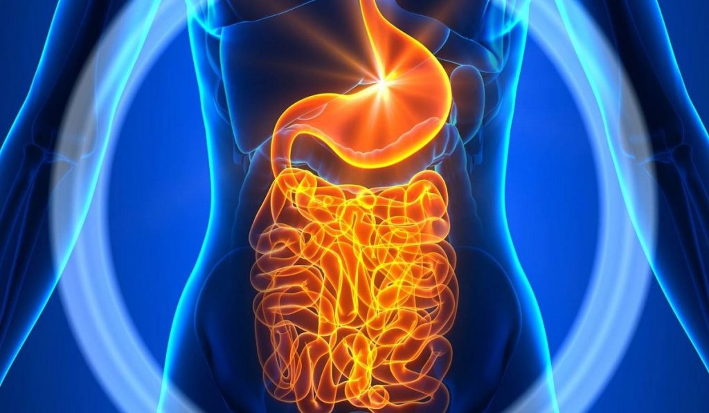 İnce Bağırsak Kanseri Nedir? Nedenleri, Belirtileri, Korunma Yolları ve Tedavisi