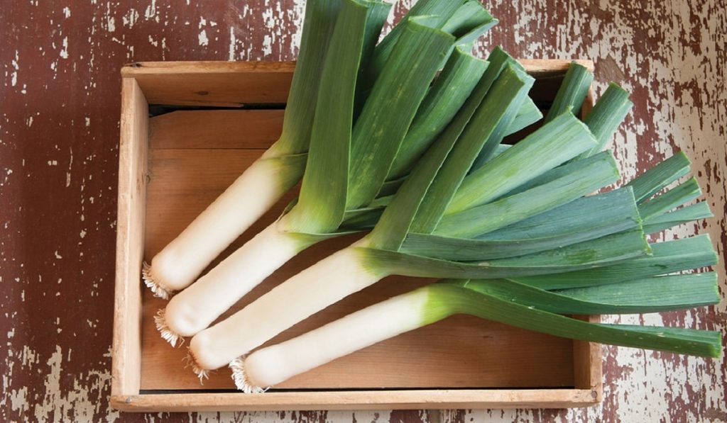 Pırasa Nedir? Çeşitleri, Özellikleri ve Faydaları Nelerdir?