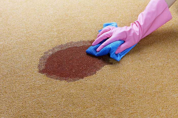 Kan Lekesi Nasıl Çıkarılır (Nasıl Temizlenir)?