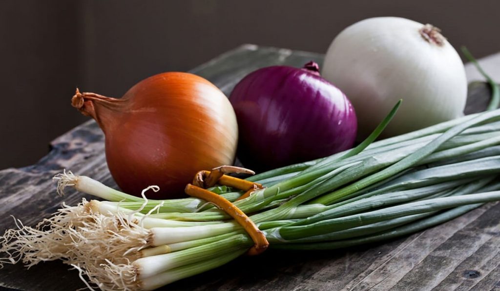Soğan Nedir? Çeşitleri, Özellikleri ve Faydaları Nelerdir?