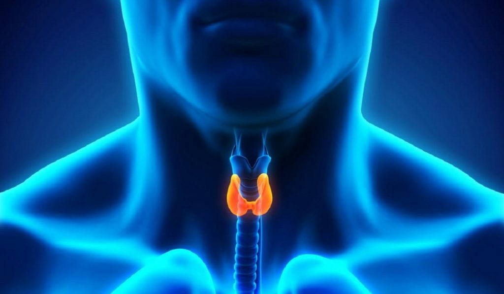 Hipertiroidi Nedir? Nedenleri, Belirtileri, Korunma Yolları ve Tedavisi