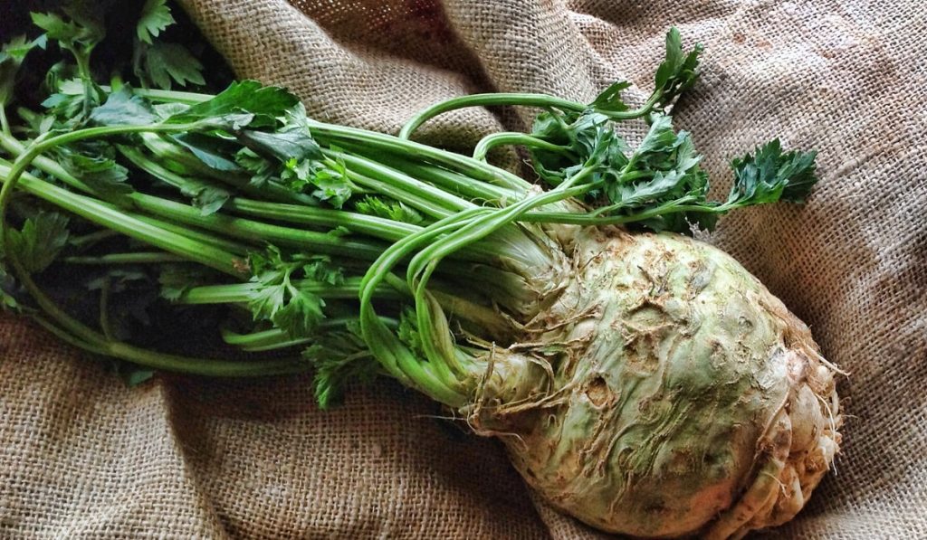 Kereviz Nedir? Çeşitleri, Özellikleri ve Faydaları Nelerdir?