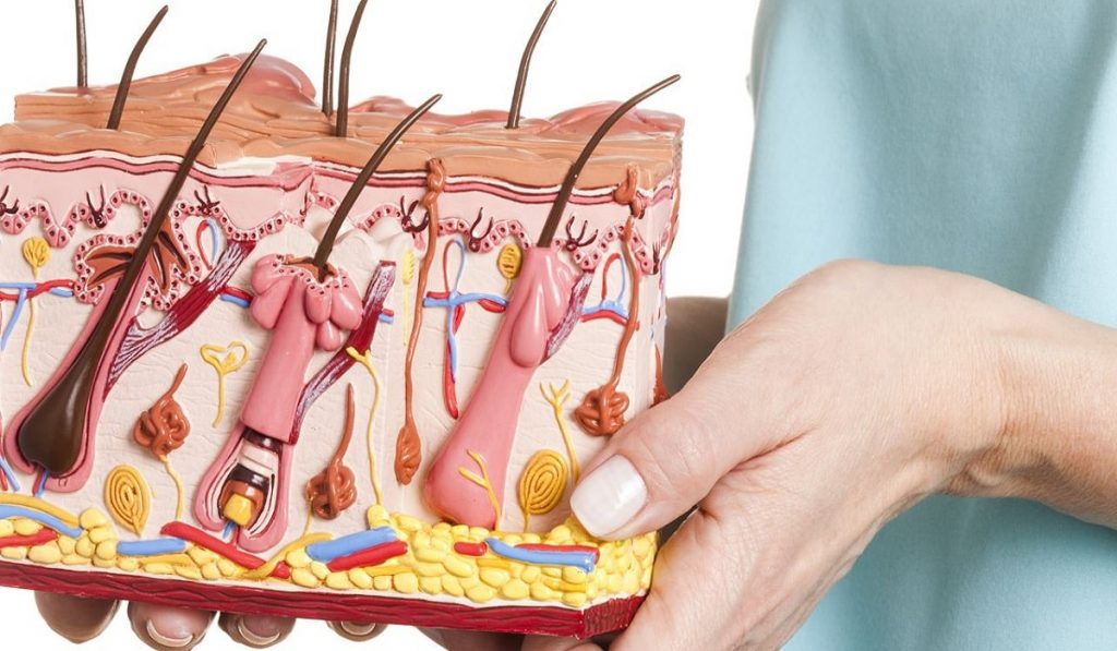 Kıl Dönmesi Nedir? Nedenleri, Belirtileri, Korunma Yolları ve Tedavisi