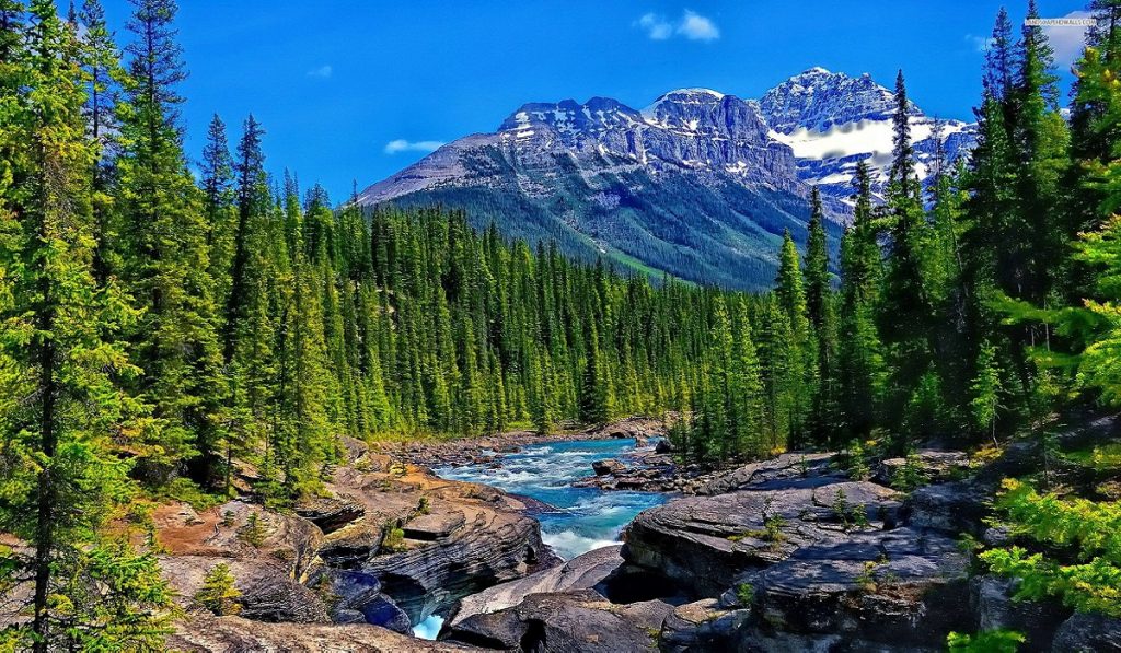 Dere Nedir? Nasıl Oluşur? Özellikleri Nelerdir?