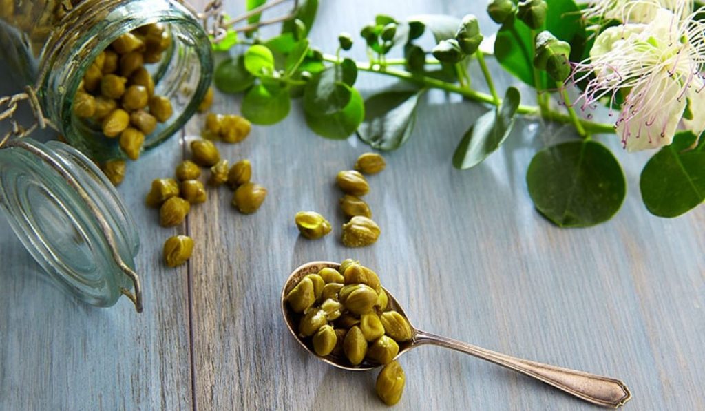 Kapari (Gebre Otu) Nedir? Nasıl Kullanılır? Faydaları ve Yan Etkileri Nelerdir?