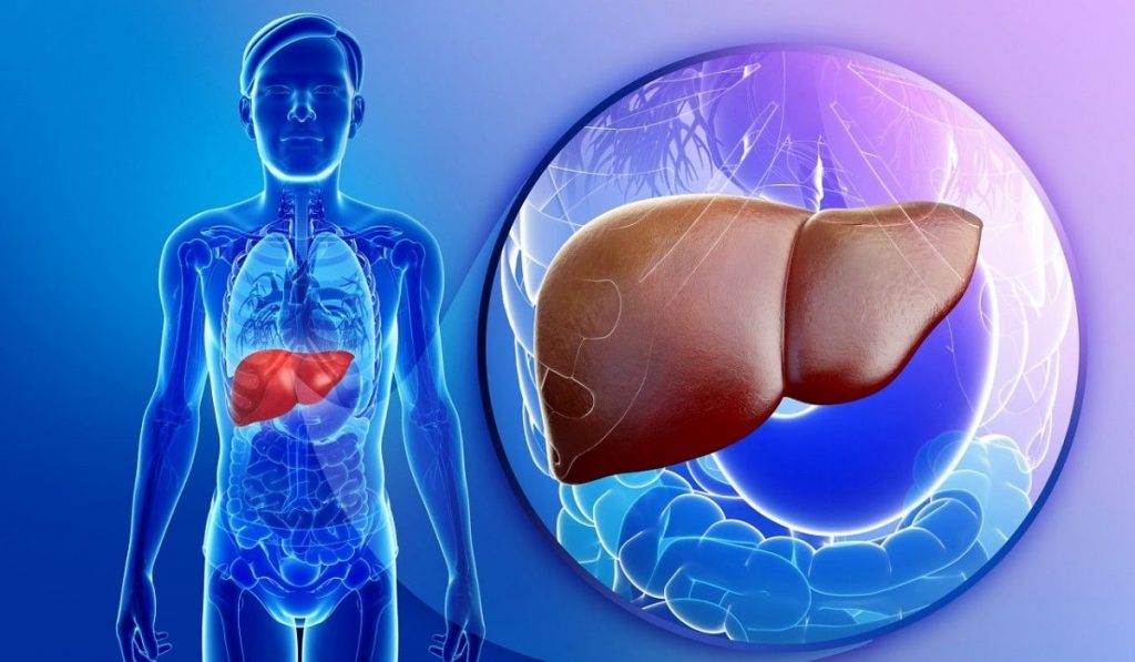 Siroz Hastalığı Nedir? Nedenleri, Belirtileri, Korunma Yolları ve Tedavisi