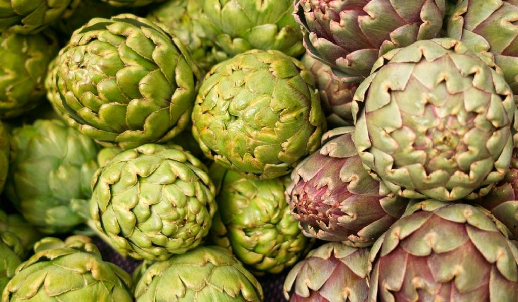 Enginar Nedir? Çeşitleri, Özellikleri ve Faydaları Nelerdir?