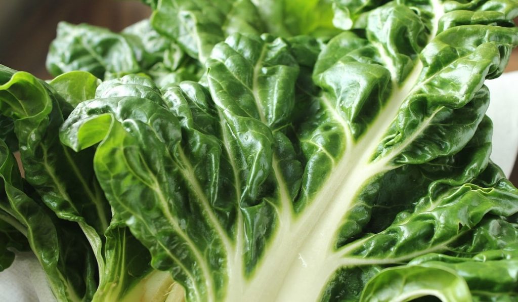 Pazı (Yaban Pancarı) Nedir? Özellikleri ve Faydaları Nelerdir?