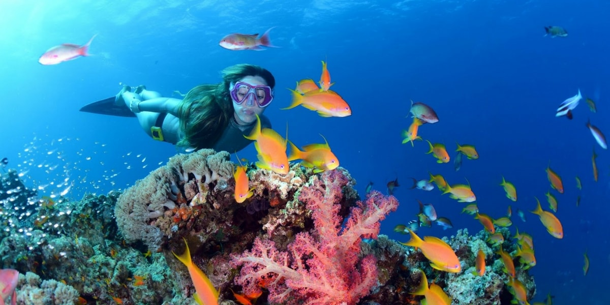 Şahika Ercümen Kimdir?