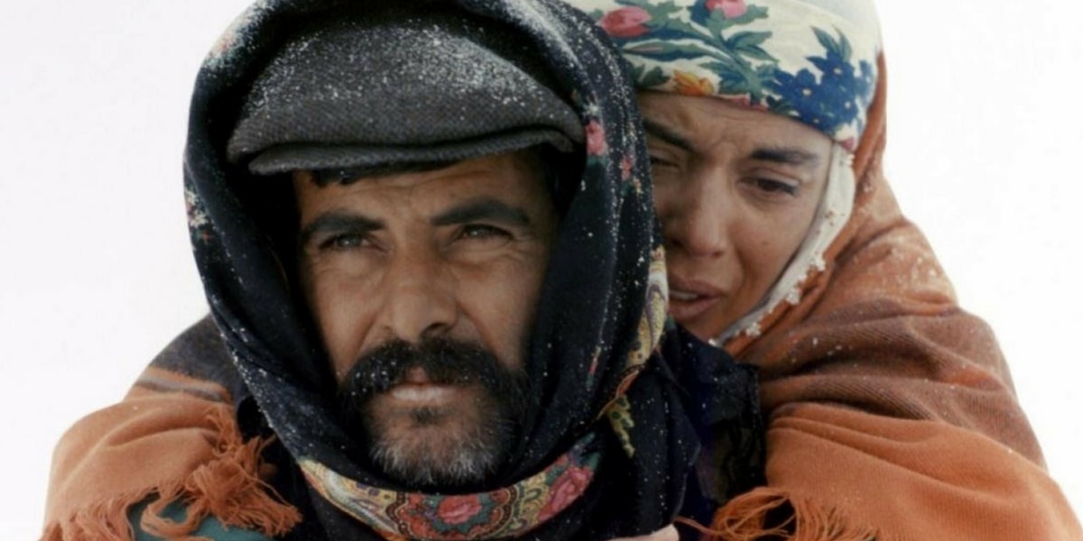 Tarık Akan’ın Hayatı