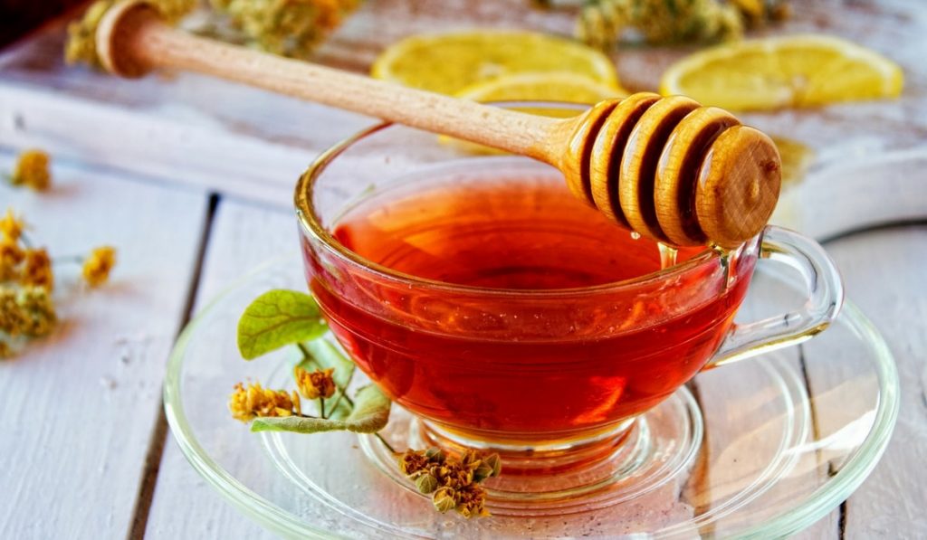 Tilya Kürü Nedir? Nasıl Yapılır? Faydaları ve Zararları Nelerdir?