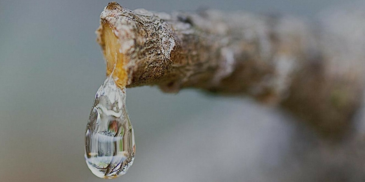 Reçine Nasıl Kullanılır?