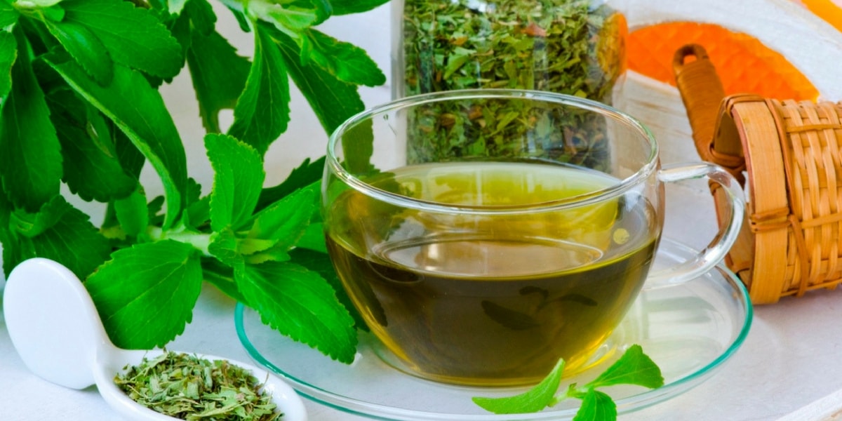 Şeker Otu (Stevia) Nasıl Kullanılır? Şeker Otu (Stevia) Nasıl Kullanılır?