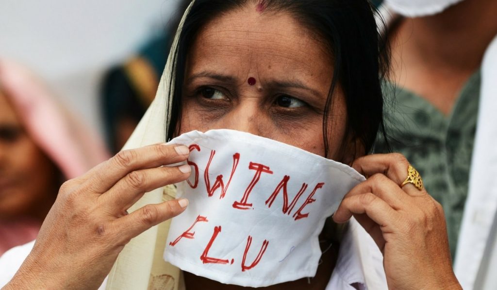 Domuz Gribi Nedir? Nedenleri, Belirtileri, Korunma Yolları ve Tedavisi