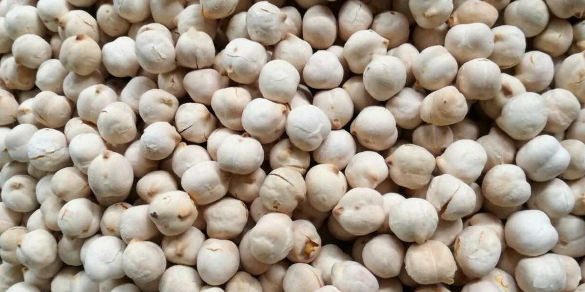 Leblebi Nasıl Yapılmaktadır?