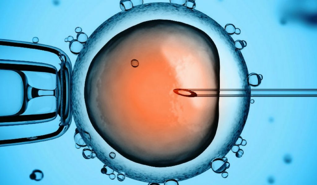 Tüp Bebek Tedavisi Nedir? Nasıl Yapılır? Kimlere Uygulanabilir?