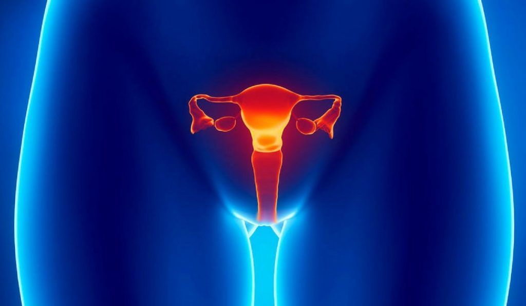 Serviks (Rahim Ağzı) Kanseri Nedir? Nedenleri, Belirtileri, Korunma Yolları ve Tedavisi