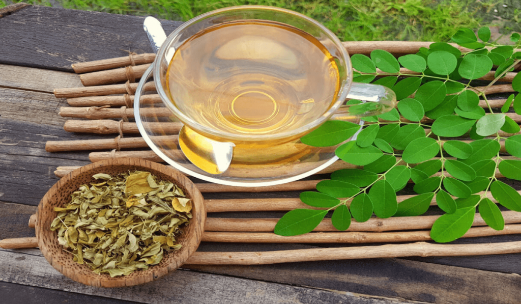 Moringa Çayı Nedir? Nasıl Kullanılır? Faydaları ve Zararları Nelerdir?