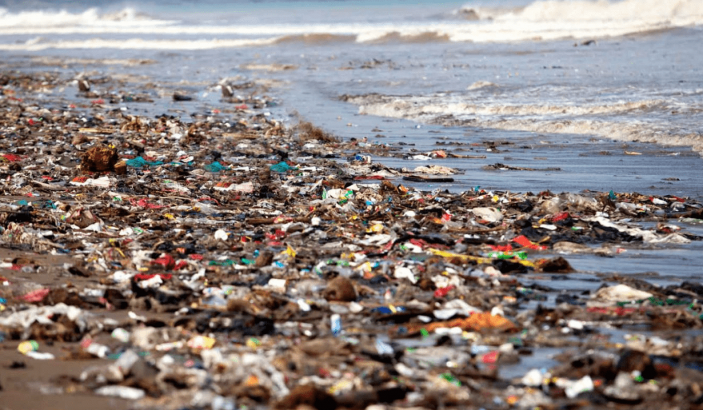 Su Kirliliği Nedir? Nedenleri, Sonuçları, Çeşitleri ve Önleme Yolları Nelerdir?