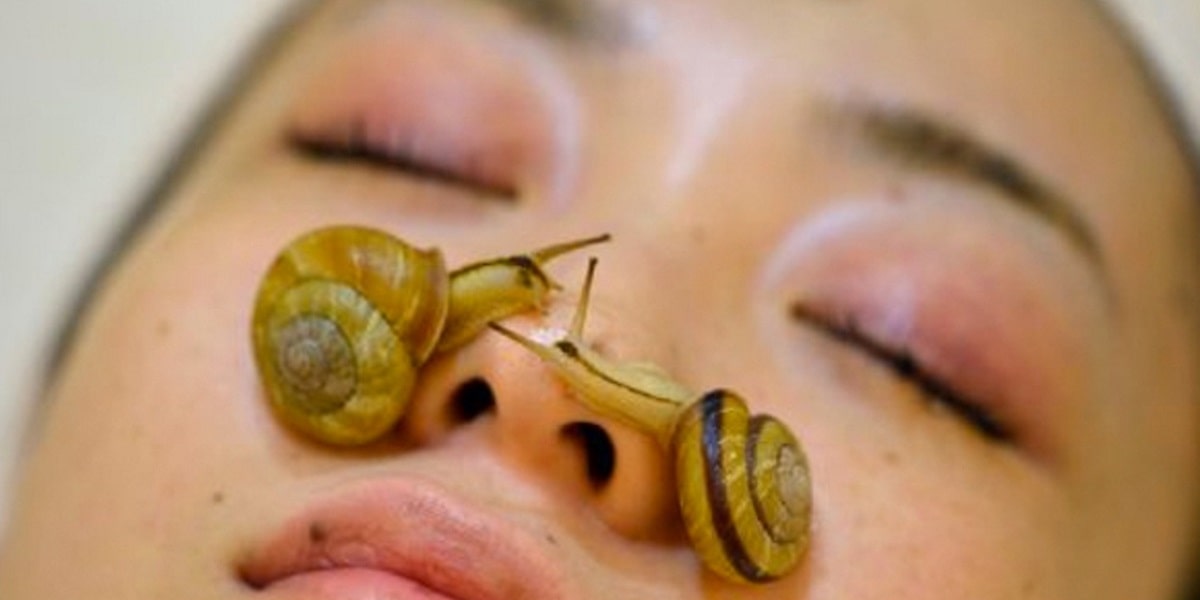 Salyangozların Tıptaki Yeri ve Faydaları Nelerdir?